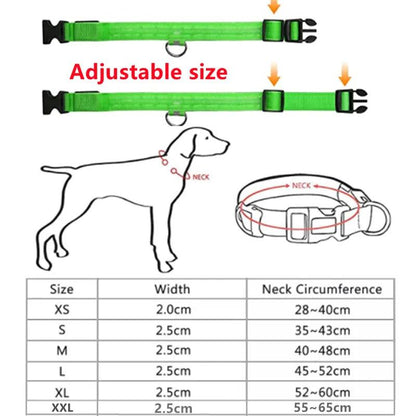 Pals-2-Pets™ Radiance Collar: Shine Bright, Stay Safe!