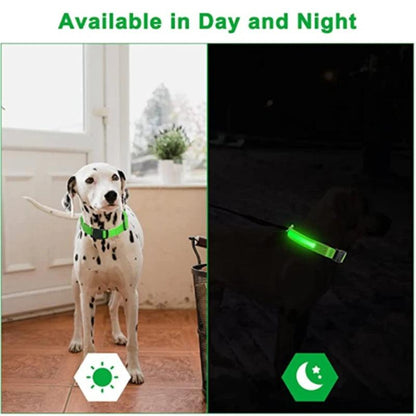 Pals-2-Pets™ Radiance Collar: Shine Bright, Stay Safe!