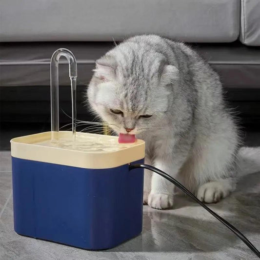 Cat Water Fountain