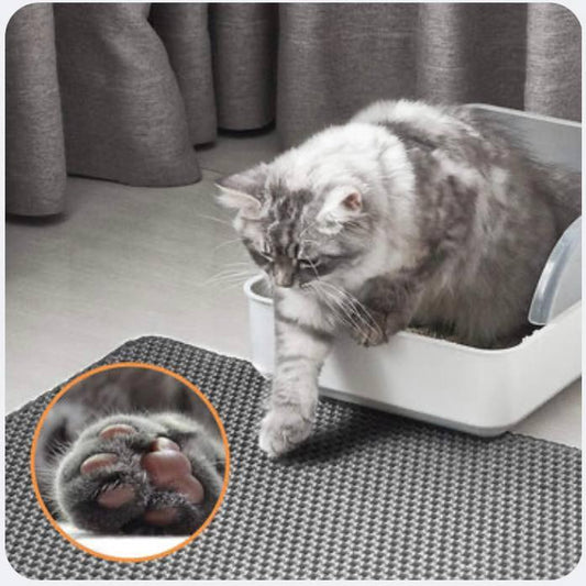 Double Layer Cat Litter Mat Waterproof